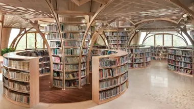 The Forest of Knowledge - A Library for The Cricket Club of India